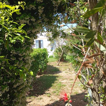 Li Curti B&B Melissano Buitenkant foto