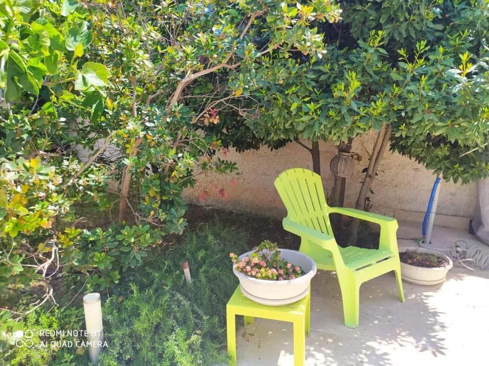 Li Curti B&B Melissano Buitenkant foto