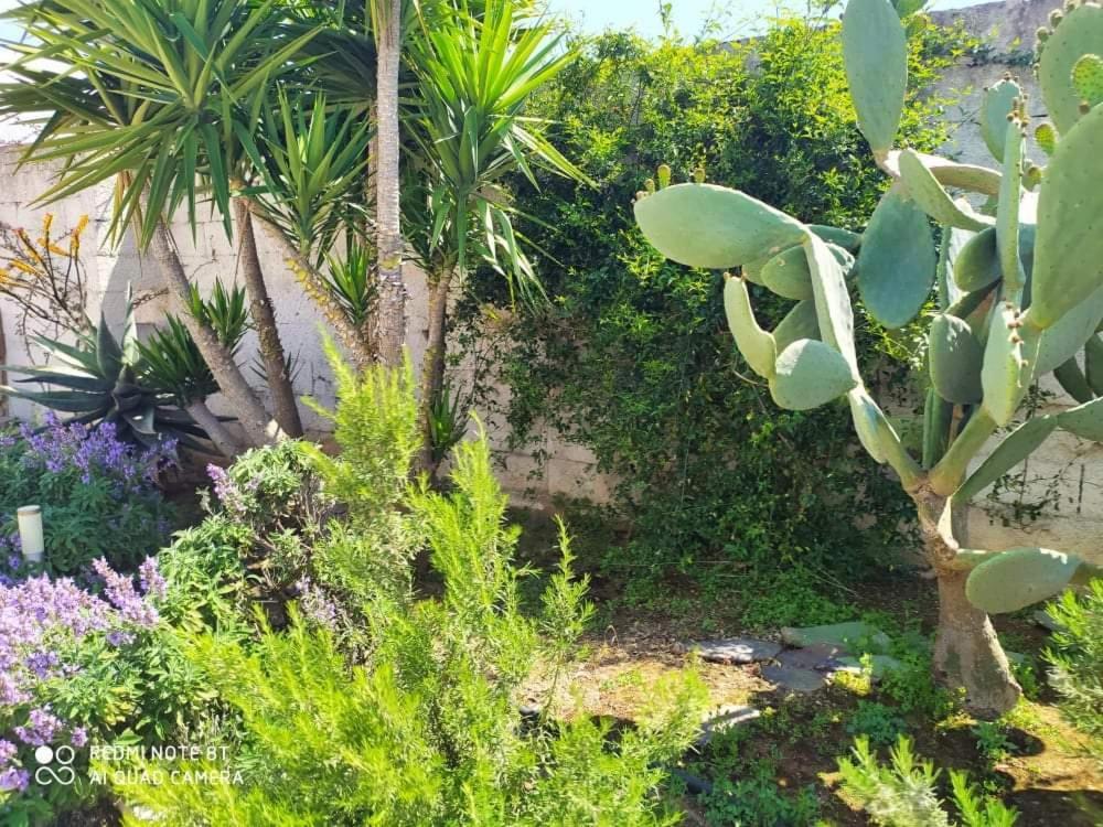 Li Curti B&B Melissano Buitenkant foto