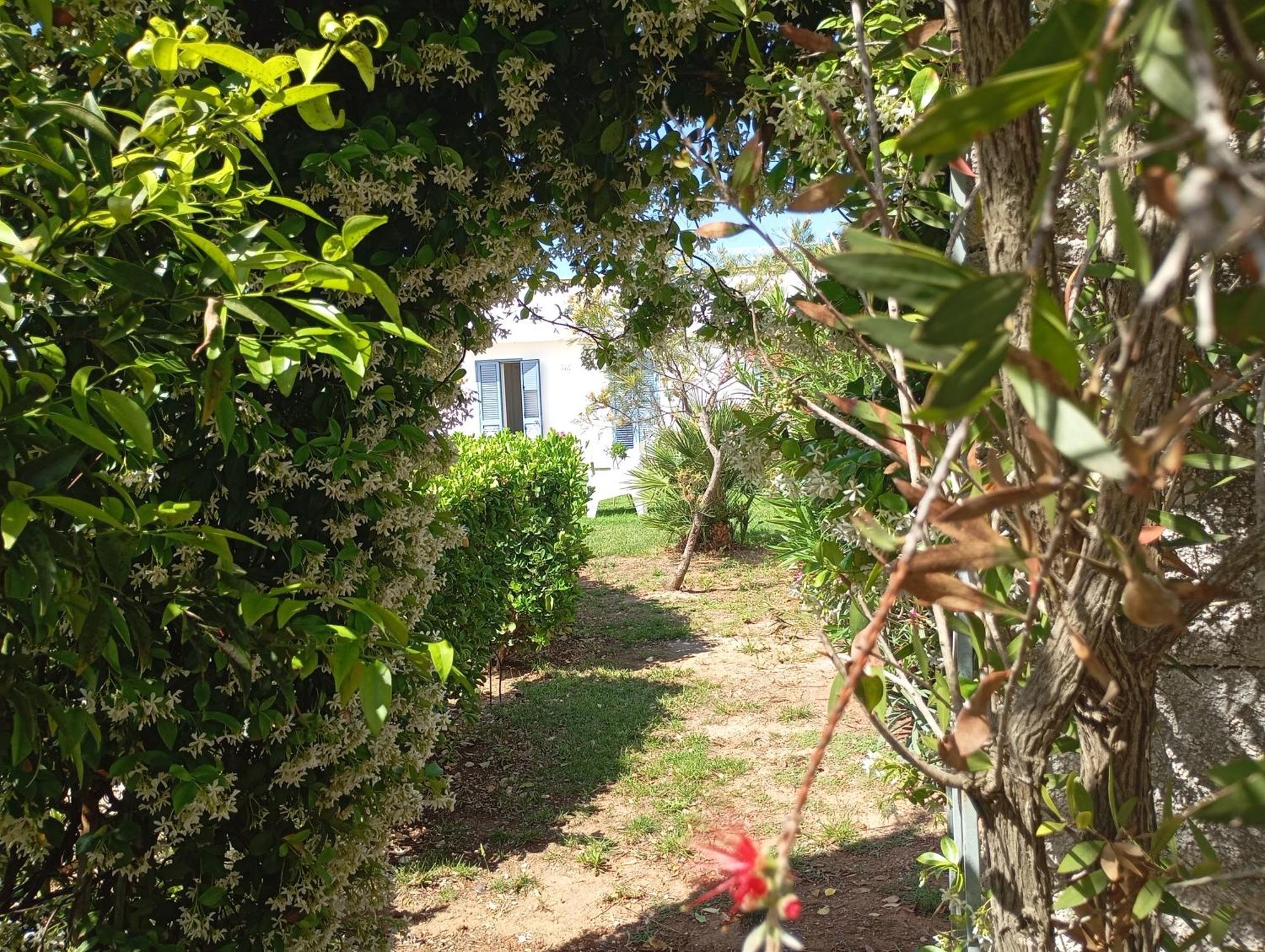 Li Curti B&B Melissano Buitenkant foto