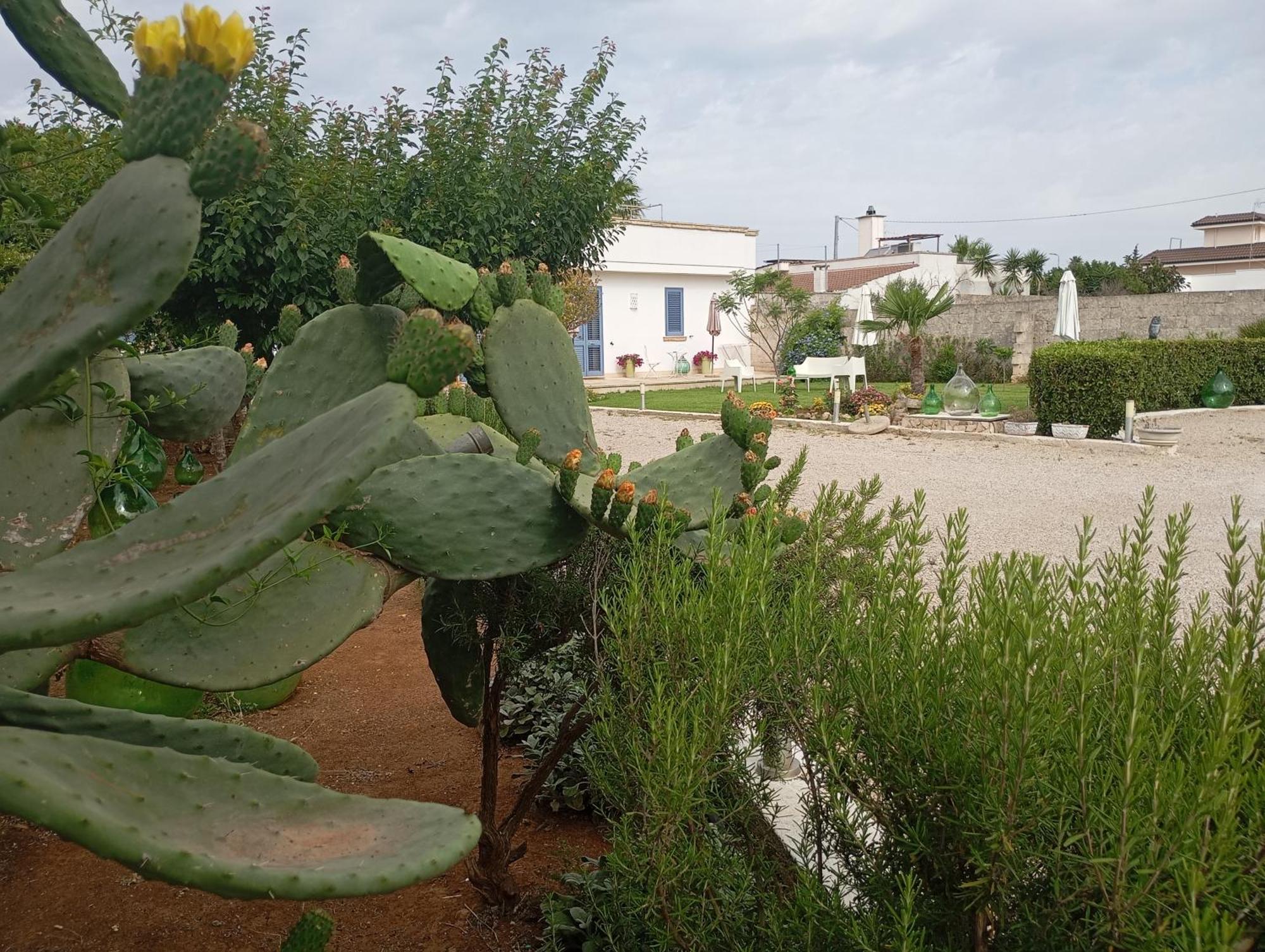 Li Curti B&B Melissano Buitenkant foto