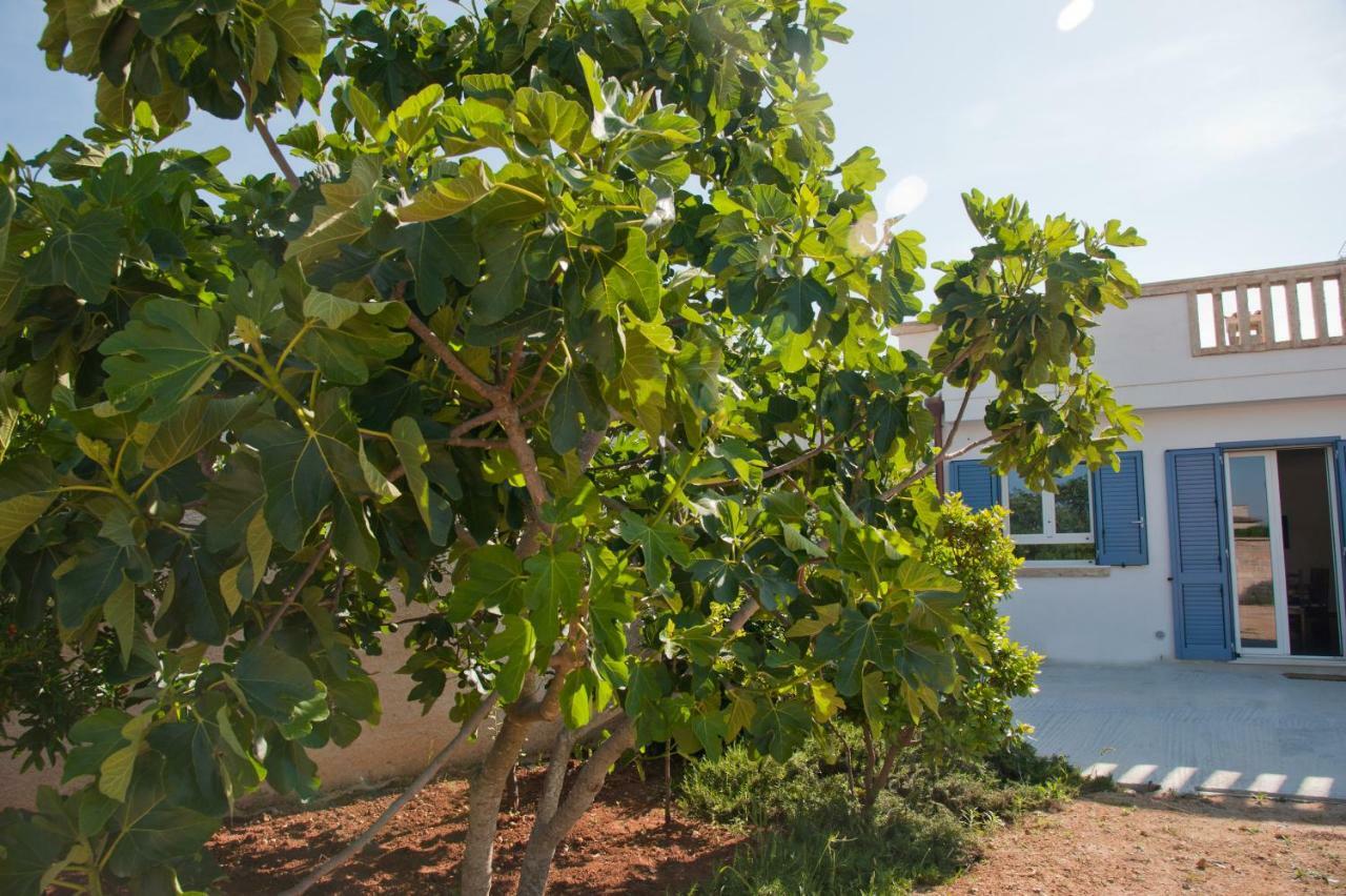 Li Curti B&B Melissano Buitenkant foto