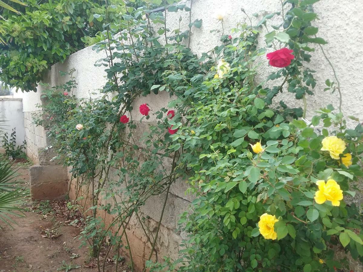 Li Curti B&B Melissano Buitenkant foto