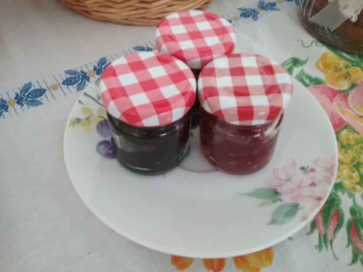 Li Curti B&B Melissano Buitenkant foto