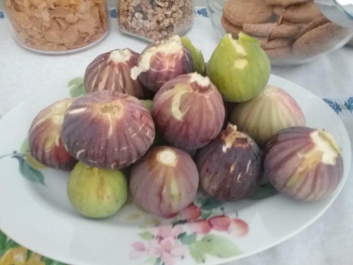 Li Curti B&B Melissano Buitenkant foto