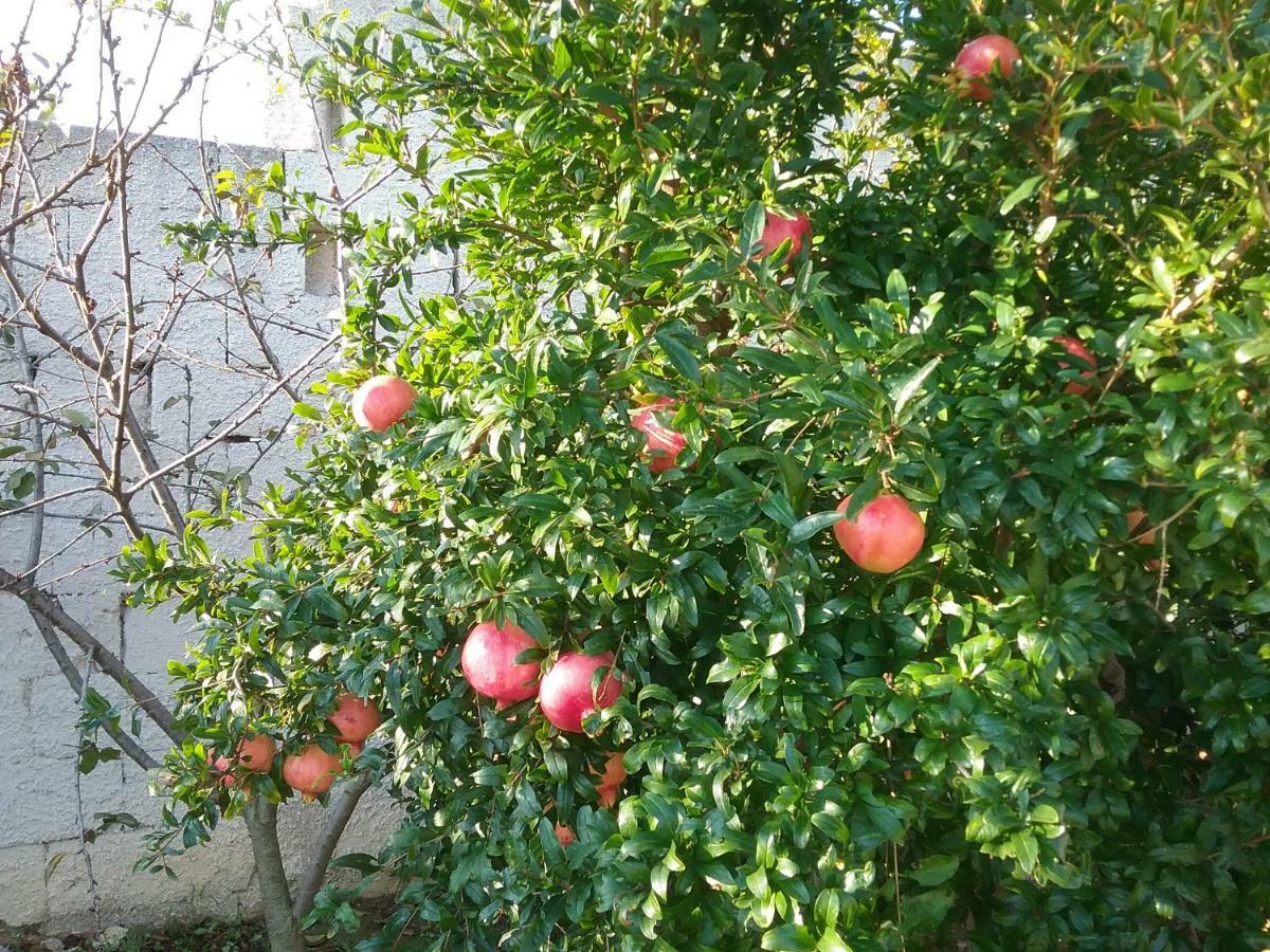 Li Curti B&B Melissano Buitenkant foto