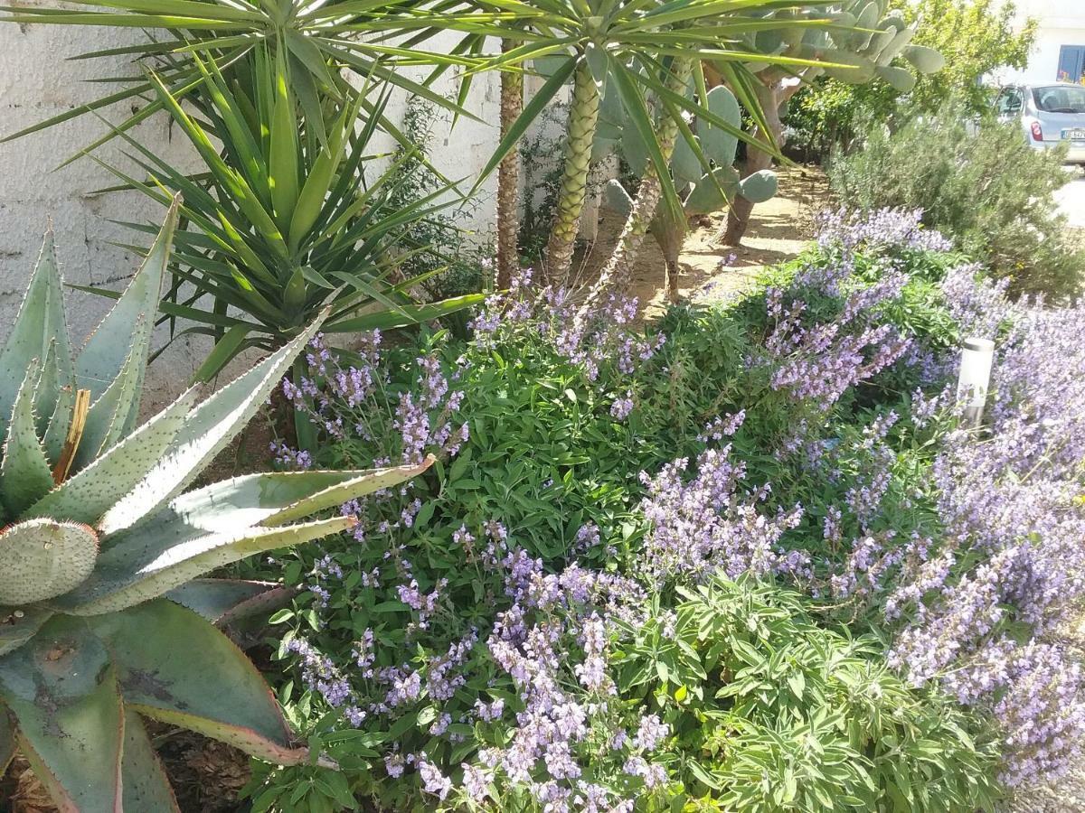 Li Curti B&B Melissano Buitenkant foto